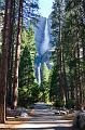 IMG_6185_Yosemite Falls